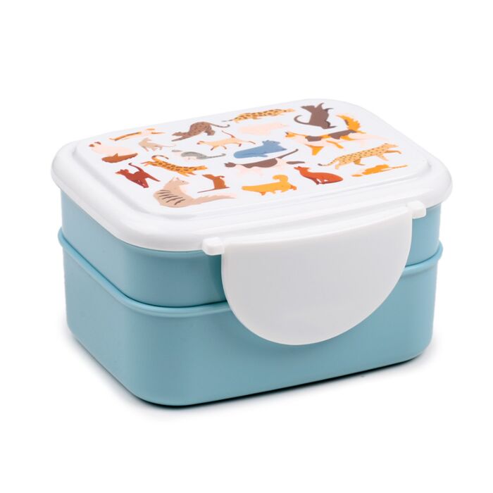 Porta Pranzo Bento con Posate e Chiusura a Clip - Gatti - Feline Fine