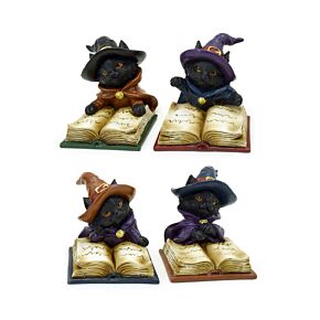 Gatto Nero con Cappello da Strega Legge il Libro degli Incantesimi Magici