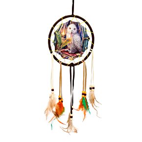 Acchiappasogni - Gufo - Guardian of Spells Owl - Lisa Parker - 16cm