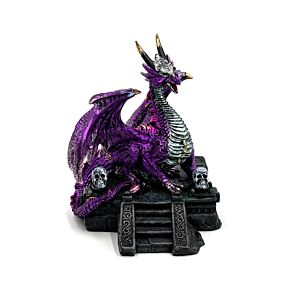 Drago della Leggenda Oscura - Protettore del Drago del Portale Nascosto