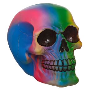 Teschio Decorativo - Colore Arcobaleno