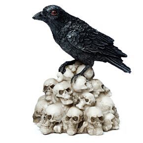 Corvo su Pila di Teschi