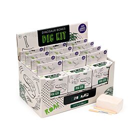 Kit dell'Archeologo - Teschi di Dinosauri