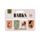 Set di 4 Segnalibri Magnetici - Cani BARKS