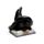 Gatti Neri con Cappello da Strega che Imparano Incantesimi 