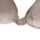 Cuscino da Viaggio in Memory Foam Relaxeazzz - Pusheen il Gatto