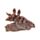 Kit dell'Archeologo - Teschi di Dinosauri