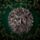 Placca da Muro - Treeman