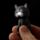 Portachiavi con LED e Suono - Gatto