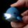 Portachiavi con LED e Suono - Animali Marini