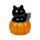 Burrocacao - Gatto Zucca - SPOOKY