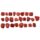 Sacchettini con 25 Pietre Runiche assortite