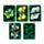 Carte da Gioco Standard - Animali - ANIMAL KINGDOM