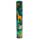Tubo con Matite Colorate - Grande - 12 pezzi - Animali - ANIMAL KINGDOM