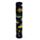 Tubo con Matite Colorate - Grande - 12 pezzi - Animali - Marine Kingdom