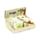 Portamonete in PVC con Cerniera - Rane Tropicali TROPICAL FROGS