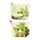 Portamonete in PVC con Cerniera - Rane Tropicali TROPICAL FROGS