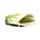 Portamonete in PVC con Cerniera - Rane Tropicali TROPICAL FROGS