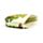 Portamonete in PVC con Cerniera - Rane Tropicali TROPICAL FROGS