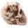 Teschio con rose