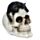 Teschio Decorativo - Gatto Nero