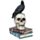 Corvo su Teschio e Libri