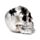 Teschio Decorativo Color Argento con Ragni e Ragnatele