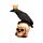 Corvo con Corona su Teschio con Rose