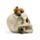 Teschio Decorativo con Piante Grasse