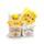 Giocattolo antistress morbido in memory foam - Squish Blox Springtime