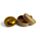 Scatola a sorpresa con giocattolo antistress morbido a forma di bao - Maltose Foodiemals Bao House