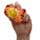 Antistress di Peluche - Animali - Zooniverse - Queasy Squeezies