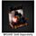 Espositore con LED per Statuette Gatti Neri con Cappello da Strega & Gufi Magici