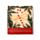 Limette per Unghie in Formato Matchbook - Stella di Natale