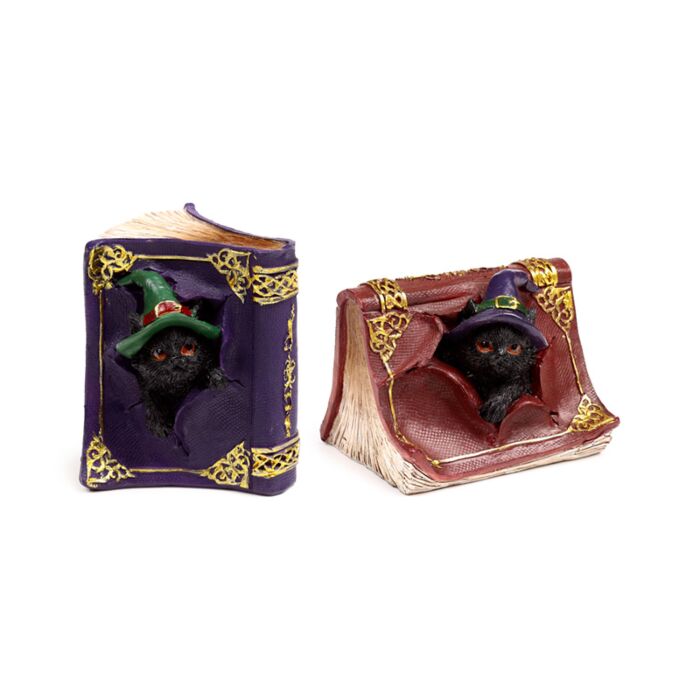 Gatto Nero con Cappello da Strega nel Libro degli Incantesimi