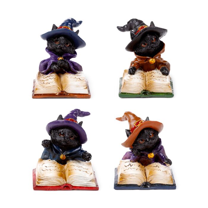 Gatto Nero con Cappello da Strega Legge il Libro degli Incantesimi Magici