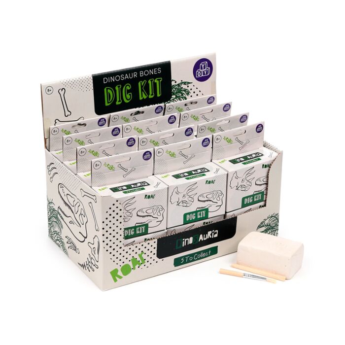 Kit dell'Archeologo - Teschi di Dinosauri