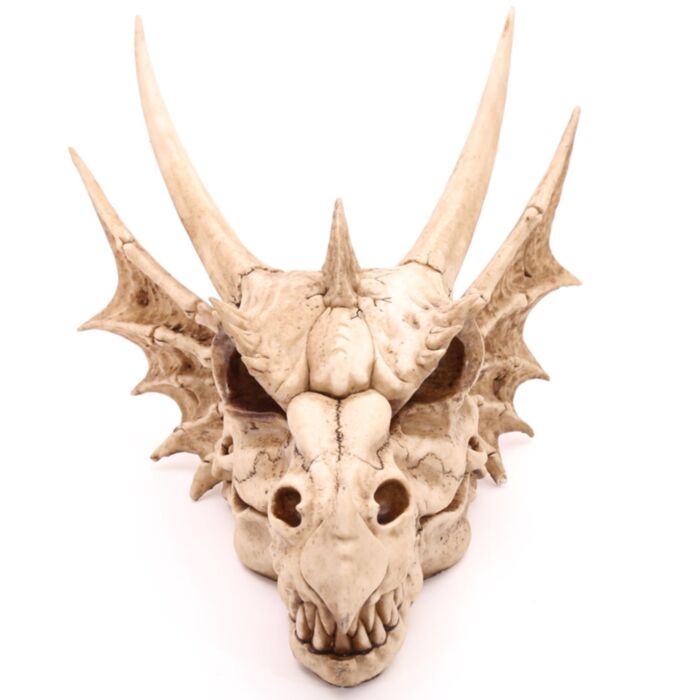 Testa di Drago Decorativa