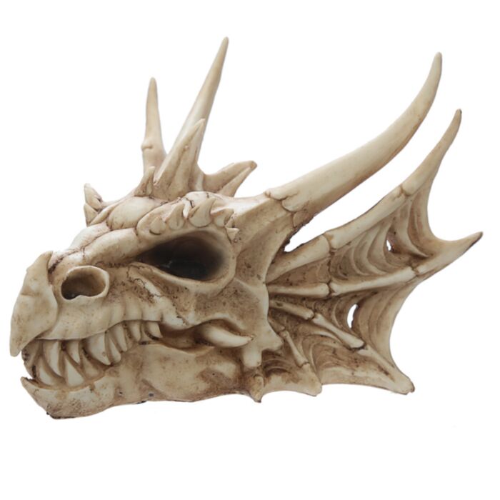 Teschio di Dragone