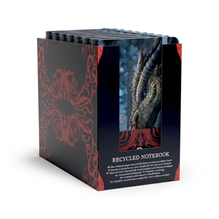 Quaderno A6 a Righe in Carta Riciclata - Anne Stokes - Dragon Defender