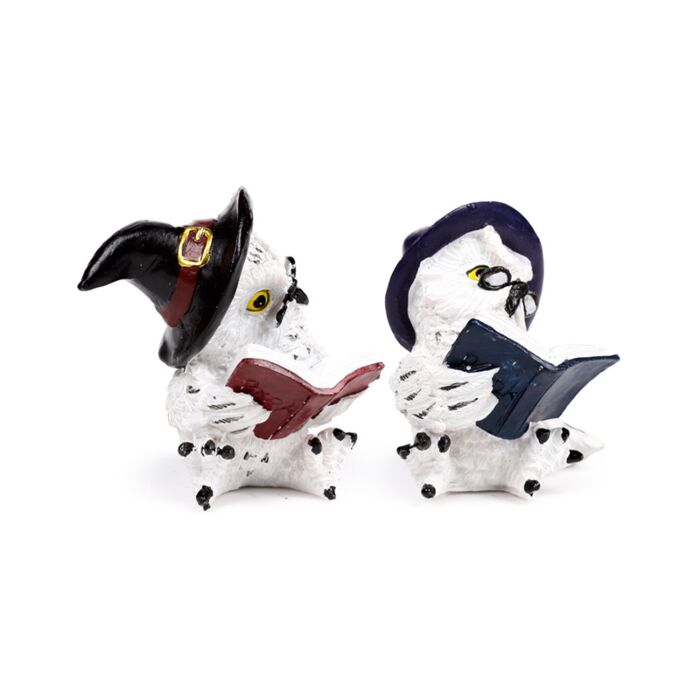 Gufo Magico con Occhiali - Lettura del Libro degli Incantesimi