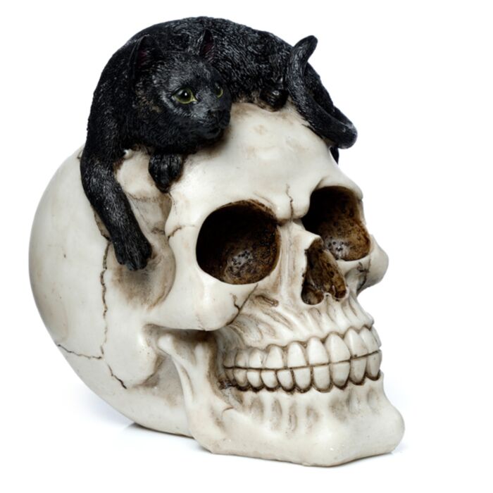 Teschio Decorativo - Gatto Nero