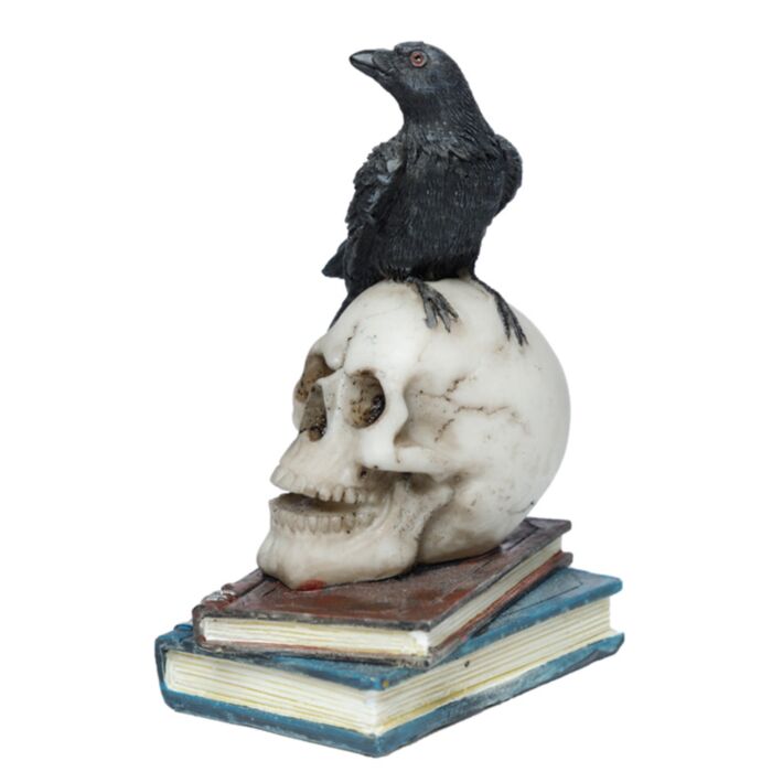 Corvo su Teschio e Libri