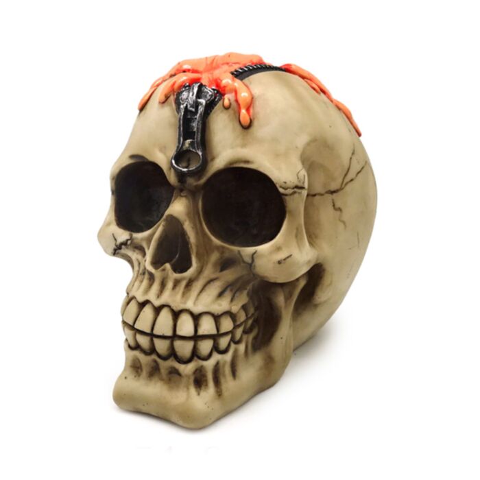 Teschio Decorativo con Testa a Cerniera e Cervello Fuoriuscente 