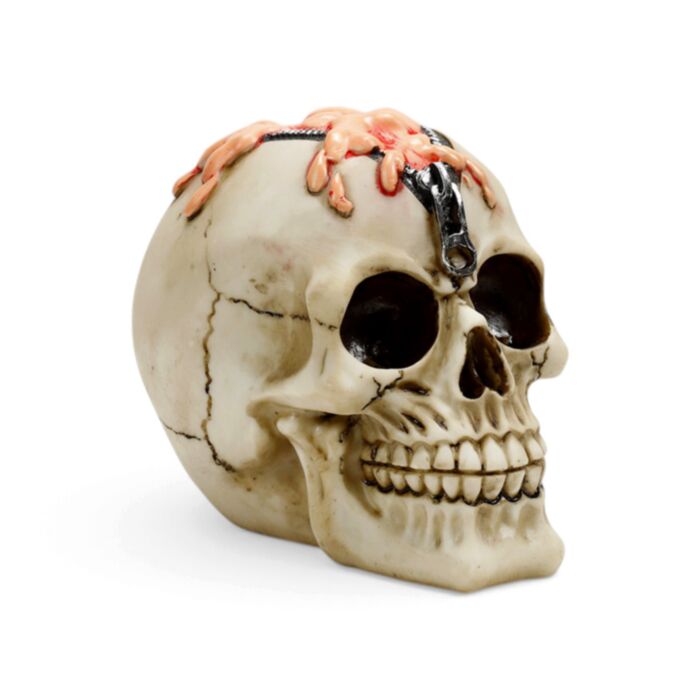 Teschio Decorativo con Testa a Cerniera e Cervello Fuoriuscente 