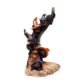 Gatti Neri con Cappello da Strega Arrampicano sul Manico di Scopa