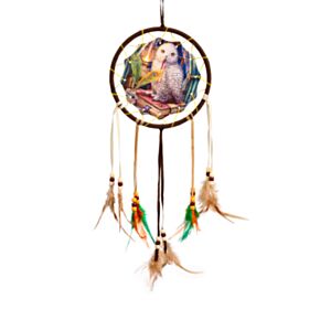 Acchiappasogni - Gufo - Guardian of Spells Owl - Lisa Parker - 16cm