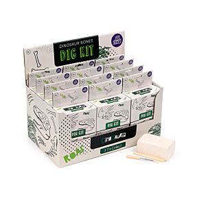 Kit dell'Archeologo - Teschi di Dinosauri