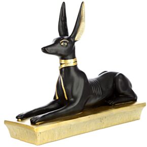 Anubis Coricato