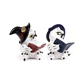 Gufo Magico con Occhiali - Lettura del Libro degli Incantesimi